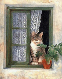 lesley05.jpg