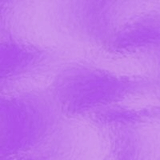 photo91.jpg