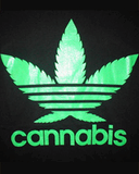 YCANNABIS.jpg