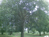 26092008_118_.jpg