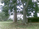 26092008_122_.jpg