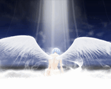 _017_neon_genesis_evangelion.jpg