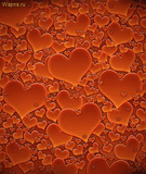 heart.jpg