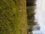 26102008812.jpg