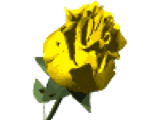 animflowers_320240.gif