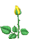 animflowers_240320.gif