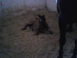 Photo_0002.jpg