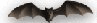 BAT.jpg