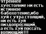 _963.jpg