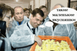Медведев 19