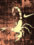 Nike_Scorpion_3.jpg
