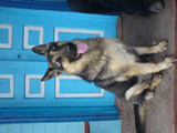 DSC00078.jpg