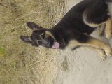 DSC00077.jpg