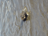 DSC00075.jpg
