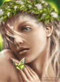13.gif