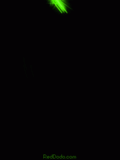d_05.gif