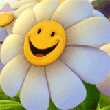n_08.gif