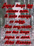 p_57007_57014.jpg