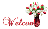 9679798_25266271_Welcome101.gif