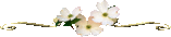 35280898_8b642b908af4.gif