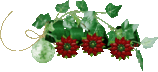37190530_2222.gif