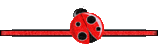 e06768ff65b1.gif