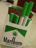 Marlboro.jpg