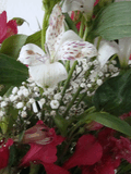 DSC02118.jpg