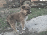 DSC00061.jpg