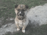 DSC00060.jpg