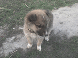 DSC00059.jpg