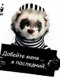 harecek