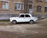 365445.jpg