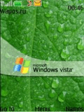 Lite_Windows.nth