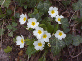01042009_003_.jpg
