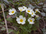 01042009_004_.jpg
