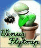 Venus Flytrap