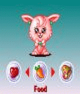 Virtual Animal - Rabbit