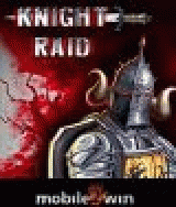 Knight Raid