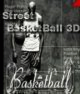 Street BasketBall 3D