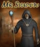 Mr. Shadow