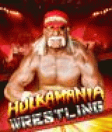 Hulkamania Wrestling