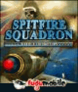 Spitfire Squadron