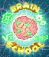 Brain School