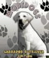 MobiDogs Labrador