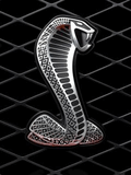 Cobra_mustang.jpg