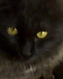 Photo_0001.jpg