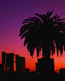 Skyline_1_.jpg