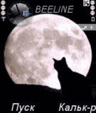 Midnight_cat.zip