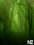 Voledar_nature_239425.jpg